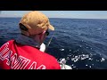 fishing sydney kingfish jigging