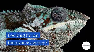 Your Search Ends Here: Top Insurance Agency in Morganton, NC