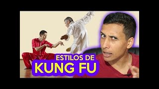 Estilos de KUNG FU e suas diferenças - Joel Correia