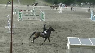 第1回University Horse Festival　第５競技　中障害C1２0センチ　４年　市村桂子　ビリーヴマイン