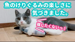 けりぐるみの楽しさに気づいた子猫がかわいすぎる件。【ブリティッシュショートヘア・生後4ヶ月】-Fun kitten to play with stuffed fish-