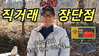 농산물 직거래 장단점은? 귀농 초기 공판장 출하하다 택배판매로 바꾸고 느낀점