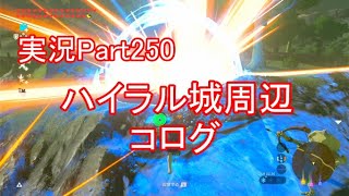 【part250】ハイラル城周辺のコログ回収【ゼルダの伝説ブレスオブザワイルド】