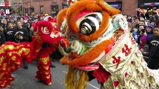 Shaolin Fists Lion Dance, Chinese New Year 2016