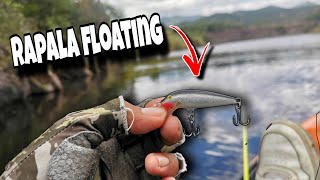 Cómo pescar con minnow | Rapala Original Floating | Este señuelo engaña a decenas de peces