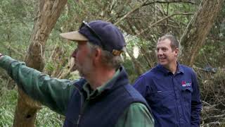 After the impact - Rainforest and river enhancement at Woolgoolga Creek