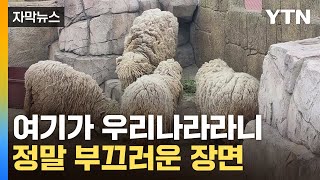 [자막뉴스] 보고 눈을 의심했습니다...처참한 동물원 상태 / YTN