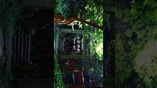 京都にある異世界感溢れる大岩神社に行ってきた！