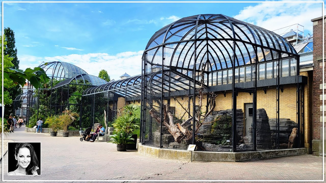 🦋 Exploring Artis Amsterdam Royal Zoo: A Planet Zoo Inspiration Journey ...