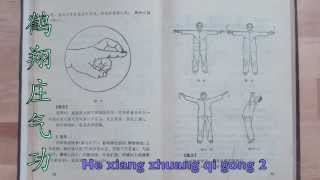 鹤翔庄气功 He Xiang Zhuang Qi Gong  2