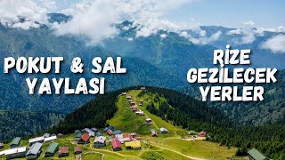 Pokut \u0026 Sal Yaylası Rize - Pokut Yayla Turu - Rize Gezilecek Yerler - Karadeniz Turu - Rize Türkiye