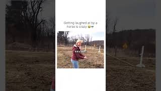 getting laughed at by a horse is crazy 😭🤣 #funny #memes #funnyvideo #trending #viral #love