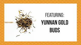 Steeping Black Tea: Yunnan Gold Buds