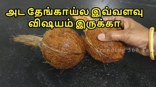 அட தேங்காயில இவ்வளவு விஷயம் இருக்கா Coconut Poo