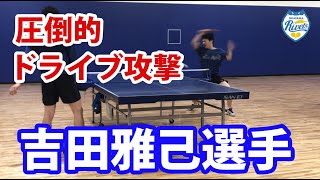 吉田雅己選手の強烈フォアハンドドライブ