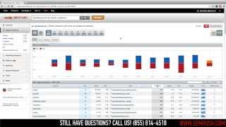 SEMrush Organic Position Changes Report