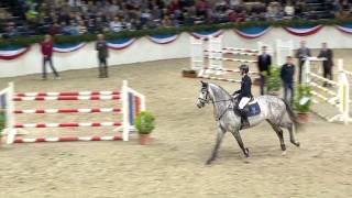 Holsteiner Premium Stallion Clarcon