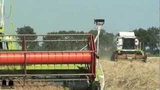 www.trekkertrekker.nl - Grass seed Harvesting with a Claas Dominator 208 Mega Lexion 460 Tucano 440