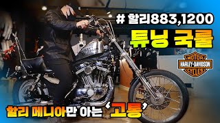 [튜닝완성] 할리타는 이유 / 역시 튜닝의 끝은 초퍼st / harley davidson xl883