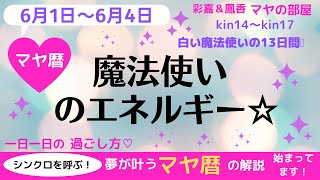 マヤ暦　宇宙のエネルギーと共鳴して最高の未来を創造しましょう！　夢を叶える過ごし方をナビゲートしています♡