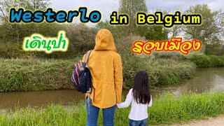 เที่ยวยุโรป เดินป่ารอบเมือง Westerlo in Belgium เรียนรู้ธรรมชาติ ในต่างแดน