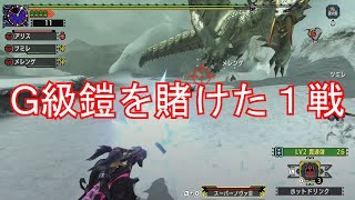 mhxx　実況　攻略９７５ 村クエ　☆１０　高難度：喧嘩の仲裁は村を救う　G級防具　ヒーラーX/Z解放クエスト