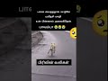 போ நீ போ 😭😭 funny animals cat dog funnyvideo puppy feedshorts shortvideo