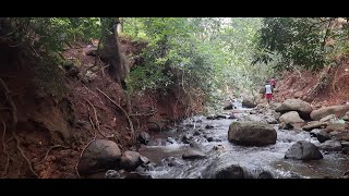 Erumai Chavadi Waterfalls | without entry Ticket |  எருமைசாவடி அருவி - Mekkarai  - அடவிநயினார் அணை