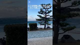 和歌山にある「白良浜」🌊ハワイのワイキキビーチとは友好姉妹浜なんです🏄#海水浴#砂浜 2024年12月29日