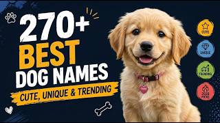 270+ Best Dog Names | Unique, Cute & Popular Puppy Names for Male and Female Dogs