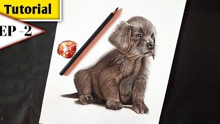 how to draw realistic dog | drawing dog easy |#subscribe #yaseenartworld