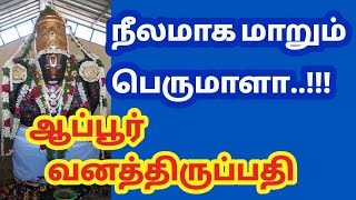 sri valithunai vaikunda varatharaja perumalநீல நிறமாகவும் நாக வடிவமாகவும் அருள் பாலிக்கும் பெருமாள்