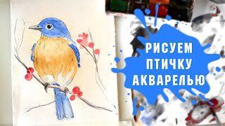 Урок - Рисуем Птичку Акварелью За 20 Минут!