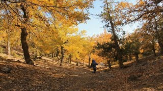 Çamlıca Köyü Hüyük videoları