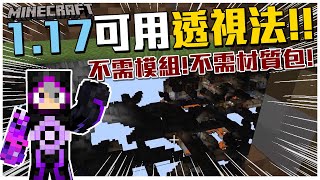 Minecraft 五個1.17能用的透視法!?尋找地下結構超容易