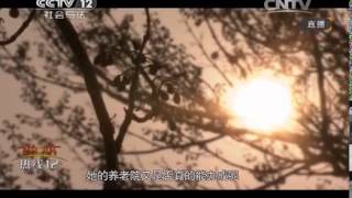 热线12 《热线12》 20140411 芦君玲的养老梦