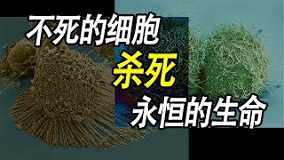 爲什麼人類無法獲得永生 | 永生不死的悖論 | 海拉細胞 | 不死的生命 😱😮