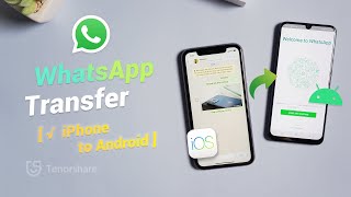 Transfer WhatsApp from iPhone to Android 2021