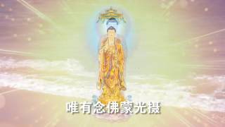 善導大師讚佛偈 （演甫居士）