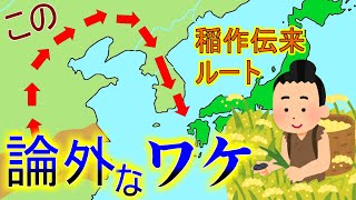 稲作の伝来ウソだらけ！最新の調査で分かった日本の稲作