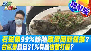 【週末大爆卦】石斑魚99%輸陸雞蛋同籃怪誰?台鳳梨銷日31%有蟲也被打壓? @大新聞大爆卦HotNewsTalk  精華版 20220612