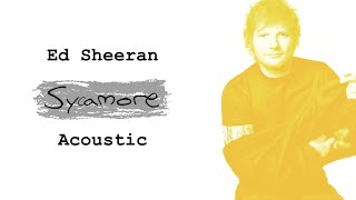 Ed Sheeran - Sycamore (Acoustic)