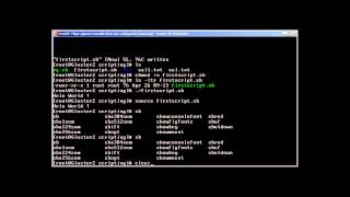 Bash Scripting Part -II