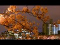 夜桜タイムラプス cherry blossoms at night time lapse