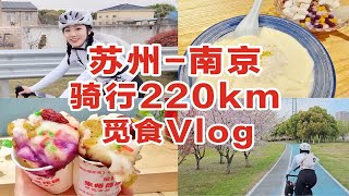 苏州-南京骑行220km觅食Vlog | 南京的梅花糕和苏州什么区别? | 久仰大名的鸡鸣汤包怎么样?