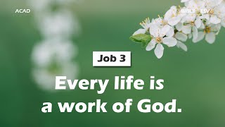 【 Job 3 】Every life is a work of God. ｜ACAD Bible Reading