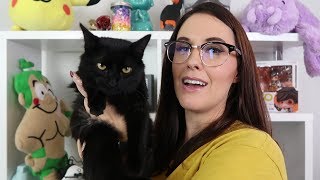 Stop Asking This Question New Kitty Meg Turney