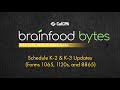 brainfood bytes: Schedule K-2 & K-3 Updates (Forms 1065, 1120s, and 8865) | Gregory Kling, CPA, MST