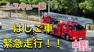 はしご車　消防車　はしご車　中野L 緊急出動　緊急走行！！かっこいい🚒😂大きく右に曲がります！！#火災出動　低音　#消防署#はしご車#消防車 #東京消防庁 レスキュー隊　#火災 #青梅街道