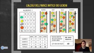 Licheni: bioindicatori dell'aria.